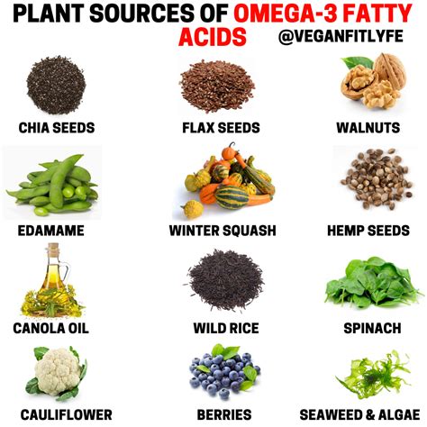 best omega sources|plant sources of omega 3.